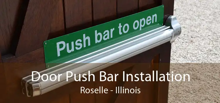 Door Push Bar Installation Roselle - Illinois