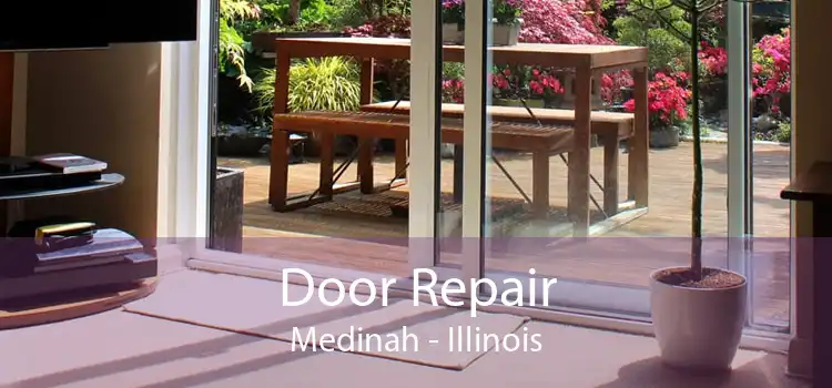 Door Repair Medinah - Illinois