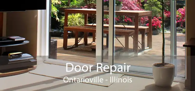Door Repair Ontarioville - Illinois