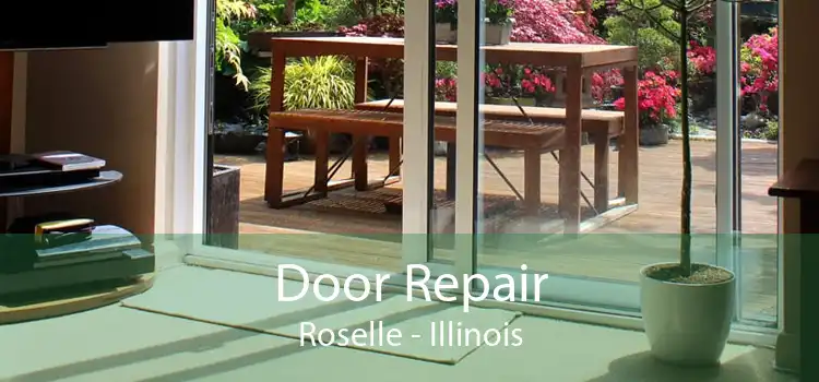 Door Repair Roselle - Illinois
