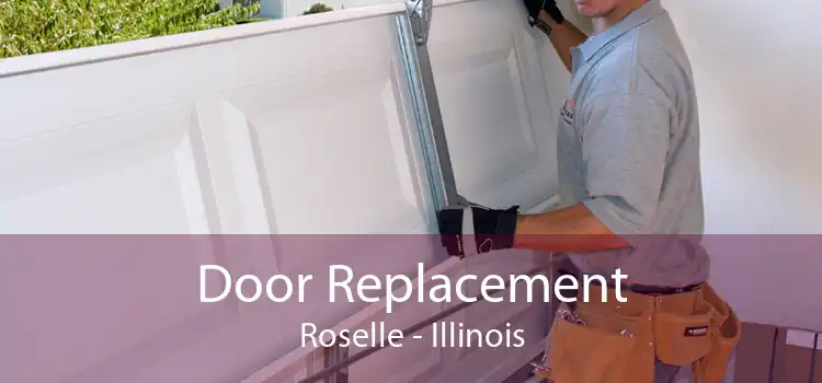 Door Replacement Roselle - Illinois