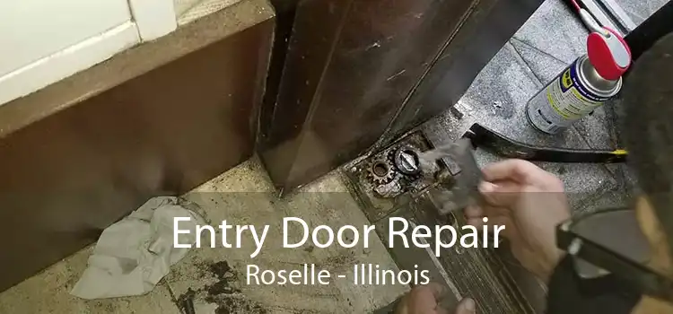 Entry Door Repair Roselle - Illinois