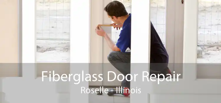 Fiberglass Door Repair Roselle - Illinois
