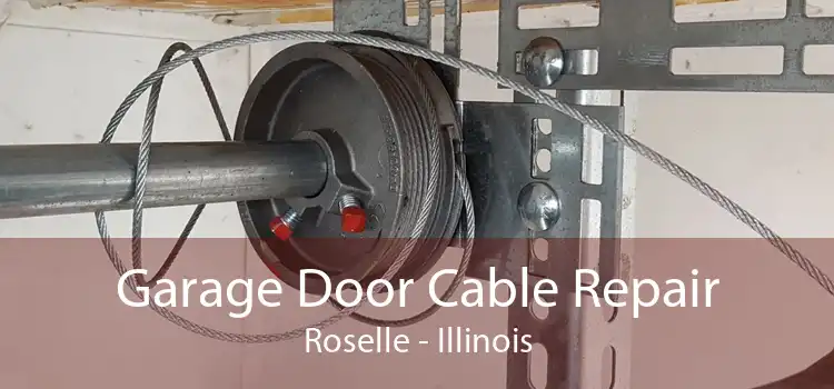 Garage Door Cable Repair Roselle - Illinois