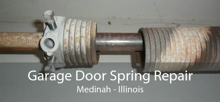 Garage Door Spring Repair Medinah - Illinois