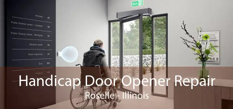Handicap Door Opener Repair Roselle - Illinois