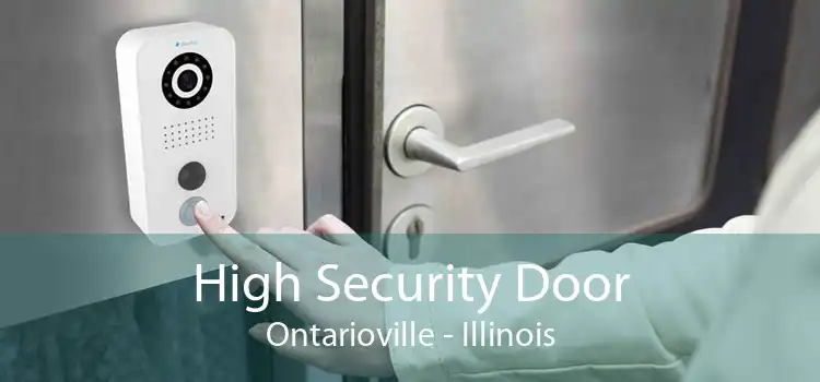 High Security Door Ontarioville - Illinois