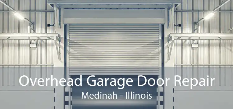Overhead Garage Door Repair Medinah - Illinois
