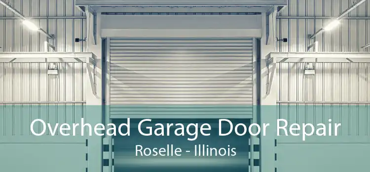 Overhead Garage Door Repair Roselle - Illinois