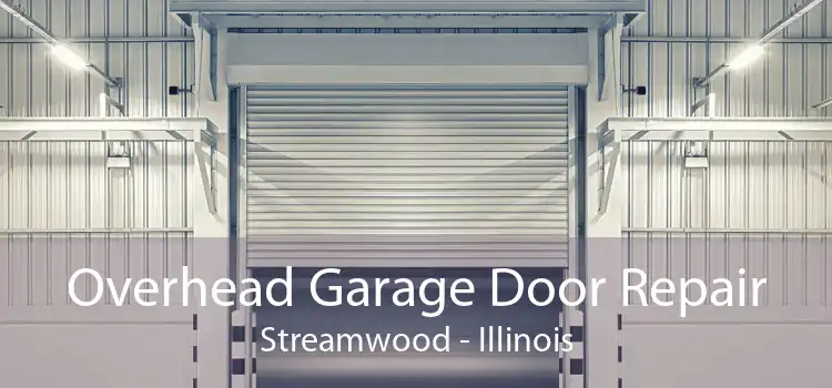 Overhead Garage Door Repair Streamwood - Illinois