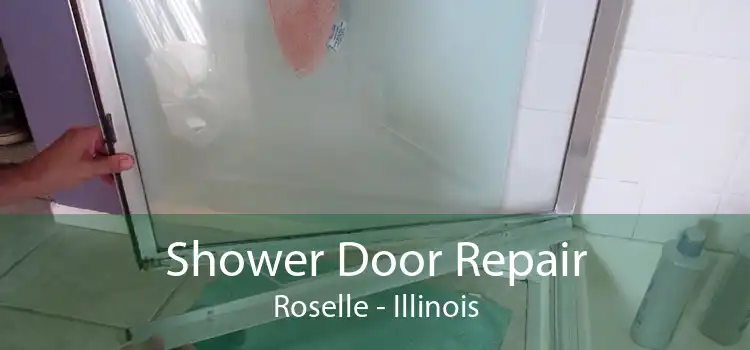 Shower Door Repair Roselle - Illinois
