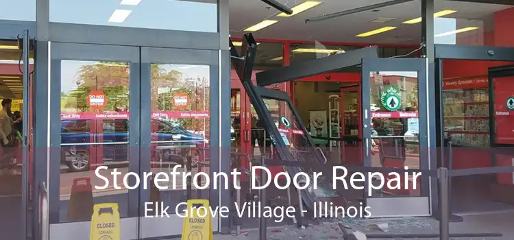 Storefront Door Repair Elk Grove Village - Illinois
