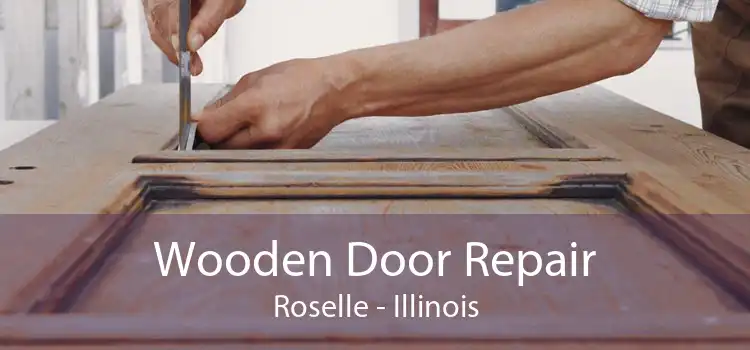 Wooden Door Repair Roselle - Illinois